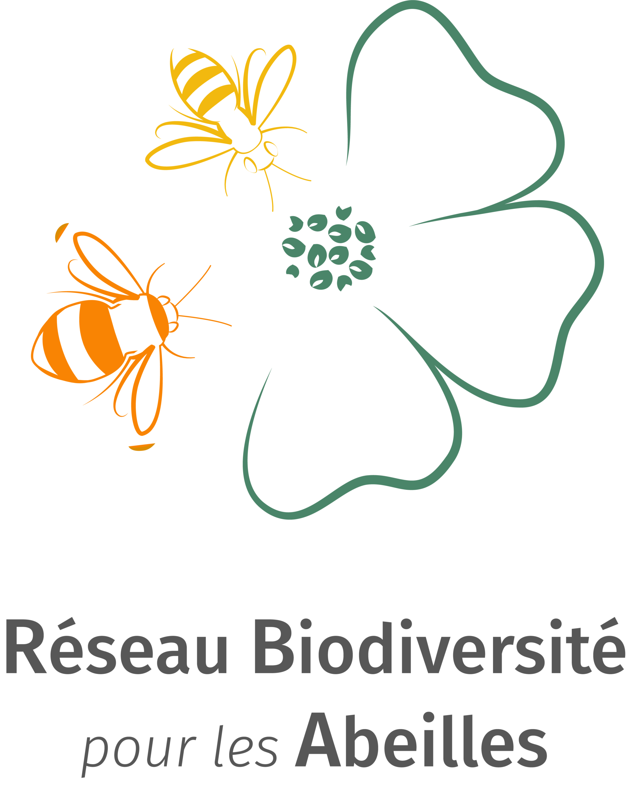 Réseau Biodiversité pour les Abeilles – 2025